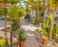 Resale - Townhouse - Ciudad Quesada