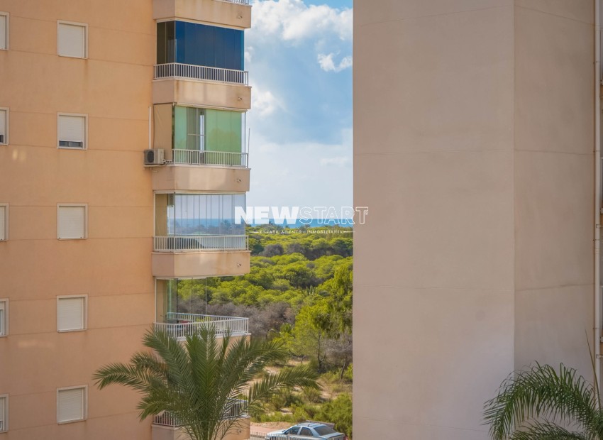 Reventa - Apartamento - Guardamar del Segura