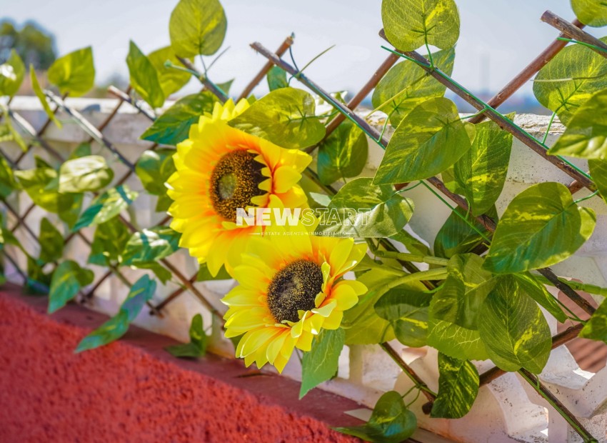 Reventa - Casa adosada - La Marina - Urb. La Marina
