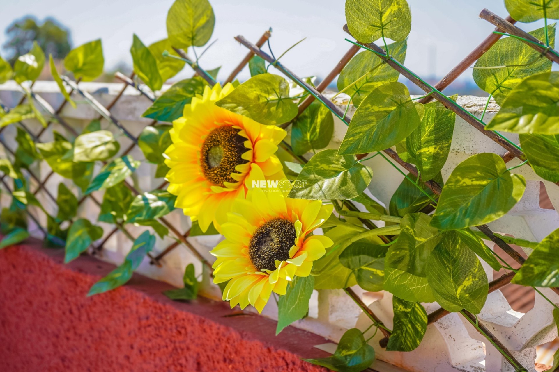 Reventa - Casa adosada - La Marina - Urb. La Marina