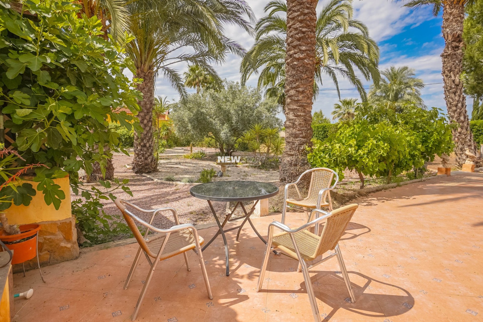 Reventa - Casa de campo-Finca - Elche - Daimes