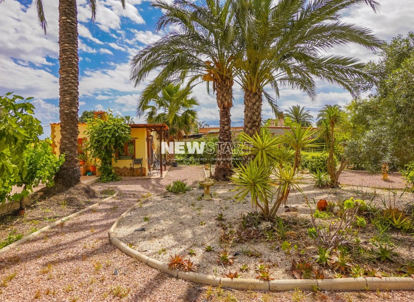 Reventa - Casa de campo-Finca - Elche - Daimes