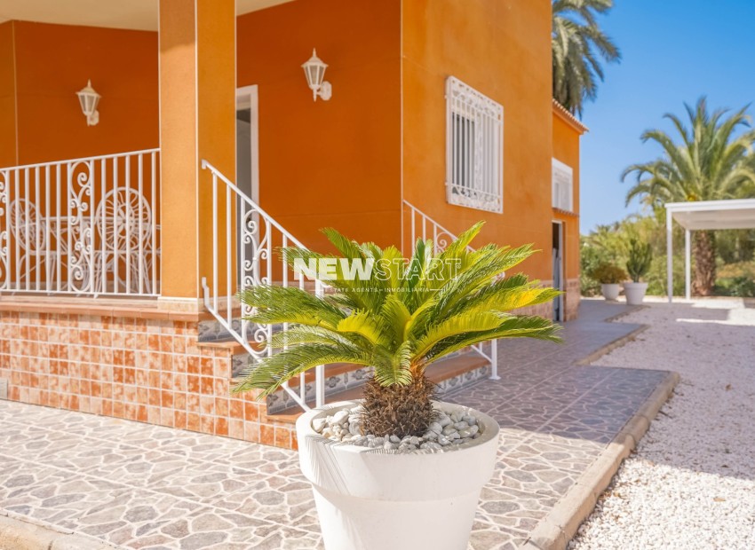 Reventa - Casa de campo-Finca - Elche - La Hoya