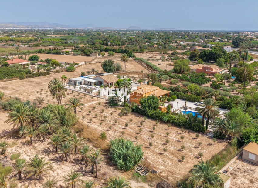 Reventa - Casa de campo-Finca - Elche - La Hoya