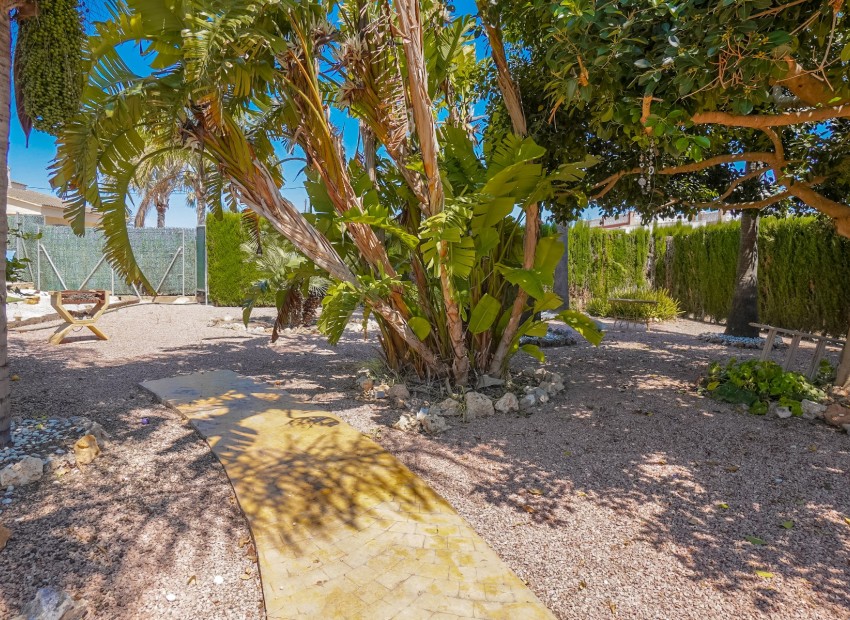 Reventa - Casa de campo-Finca - Elche - La Hoya