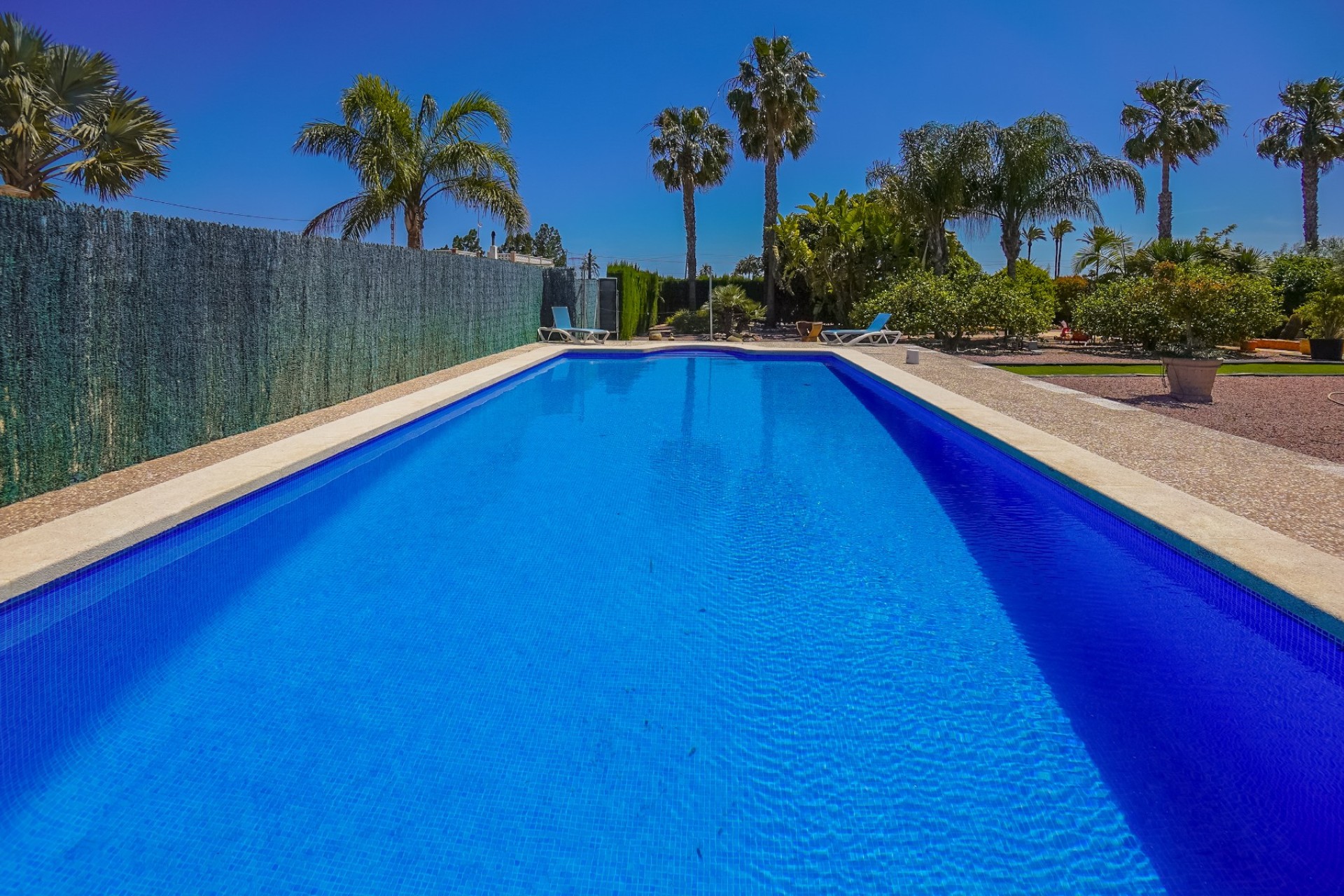 Reventa - Casa de campo-Finca - Elche - La Hoya