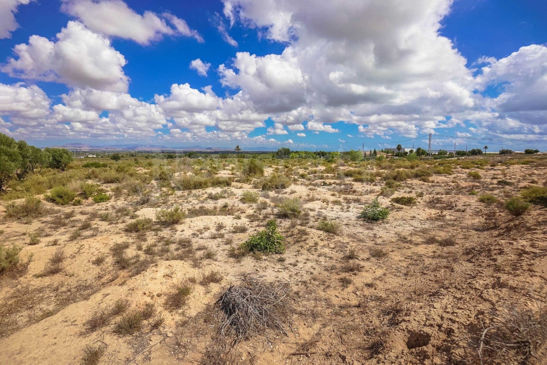 Reventa - Parcela / Terreno - Elche - Partida Marina
