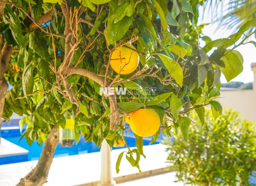 Revente - Détaché - La Marina - Urb. El Oasis