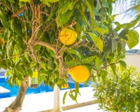 Revente - Détaché - La Marina - Urb. El Oasis