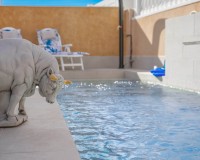 Revente - Détaché - La Marina - Urb. La Marina