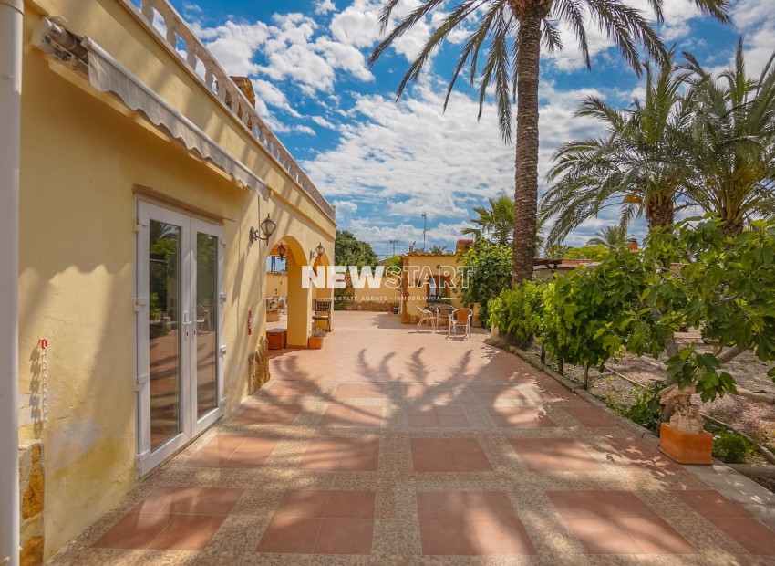 Revente - Maison de campagne-Finca - Elche - Daimes