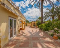 Revente - Maison de campagne-Finca - Elche - Daimes