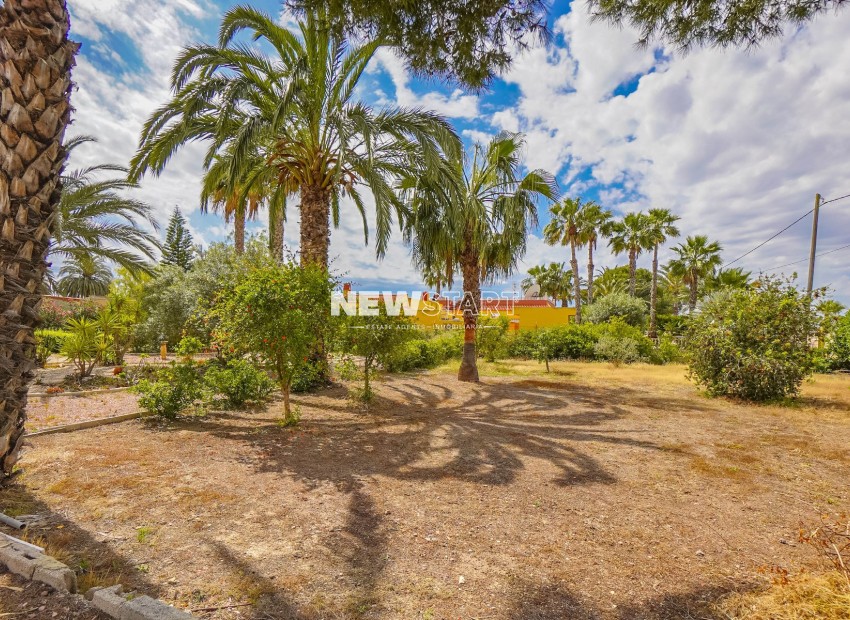 Revente - Maison de campagne-Finca - Elche - Daimes