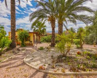 Revente - Maison de campagne-Finca - Elche - Daimes