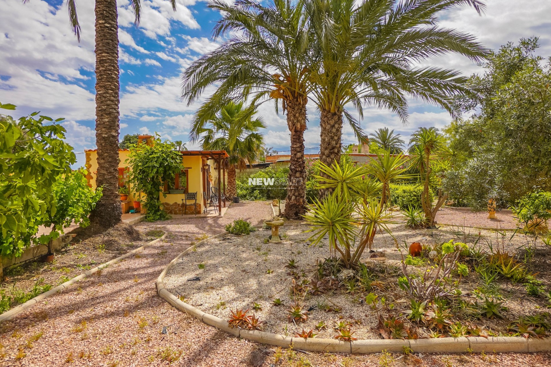 Revente - Maison de campagne-Finca - Elche - Daimes