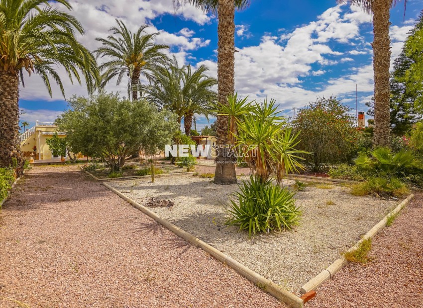 Revente - Maison de campagne-Finca - Elche - Daimes
