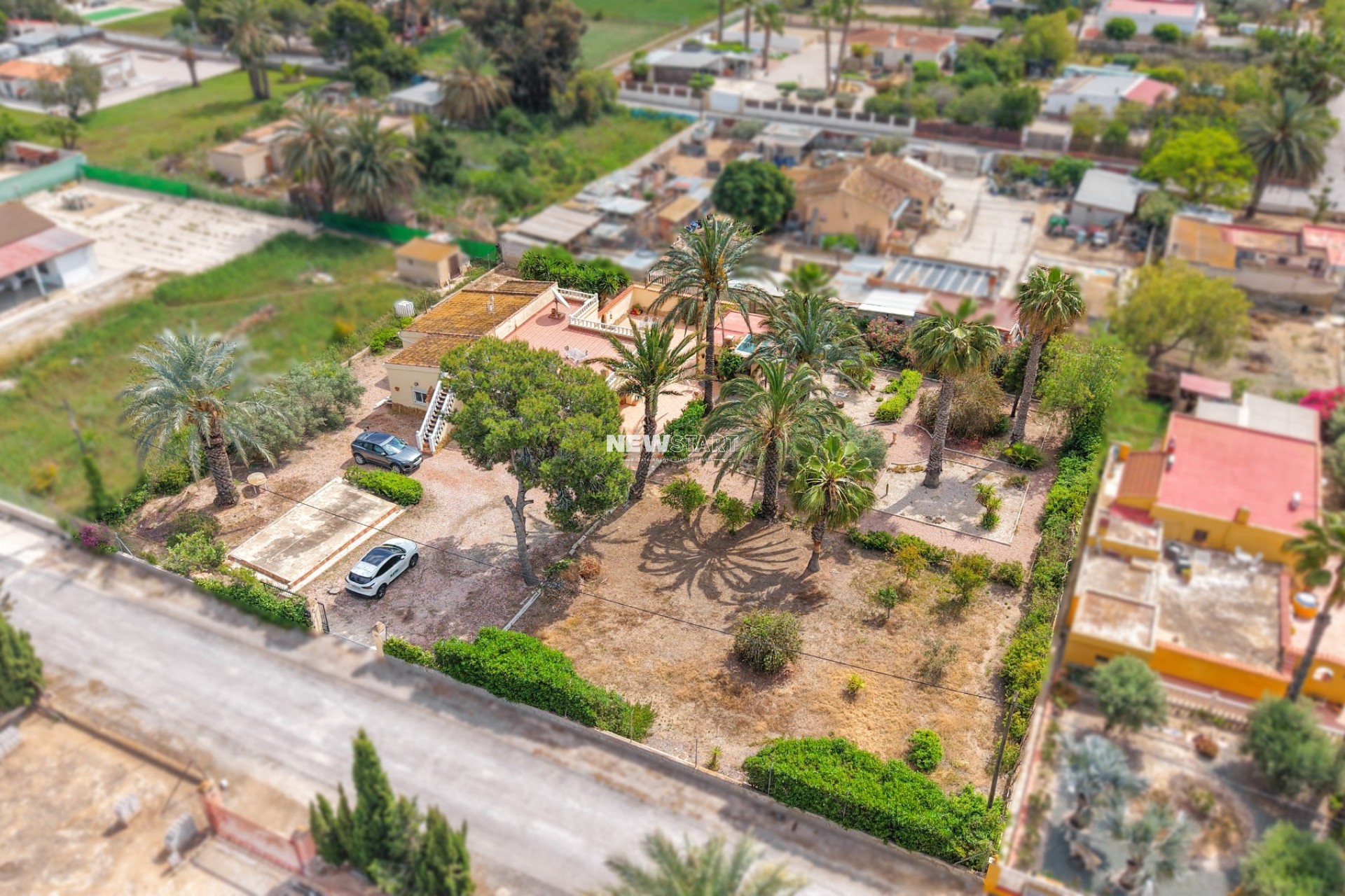Revente - Maison de campagne-Finca - Elche - Daimes