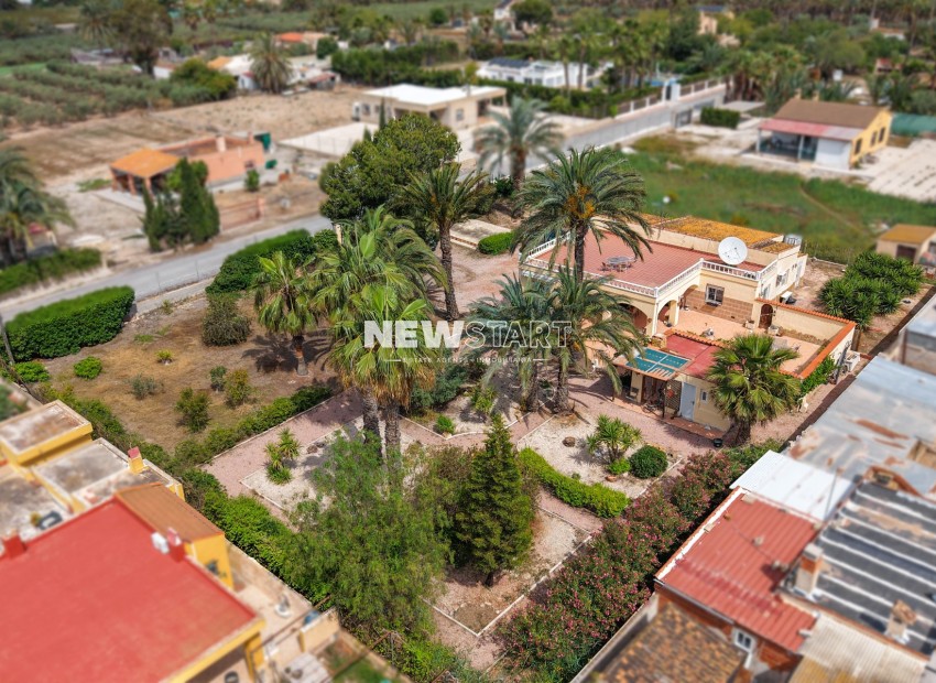 Revente - Maison de campagne-Finca - Elche - Daimes