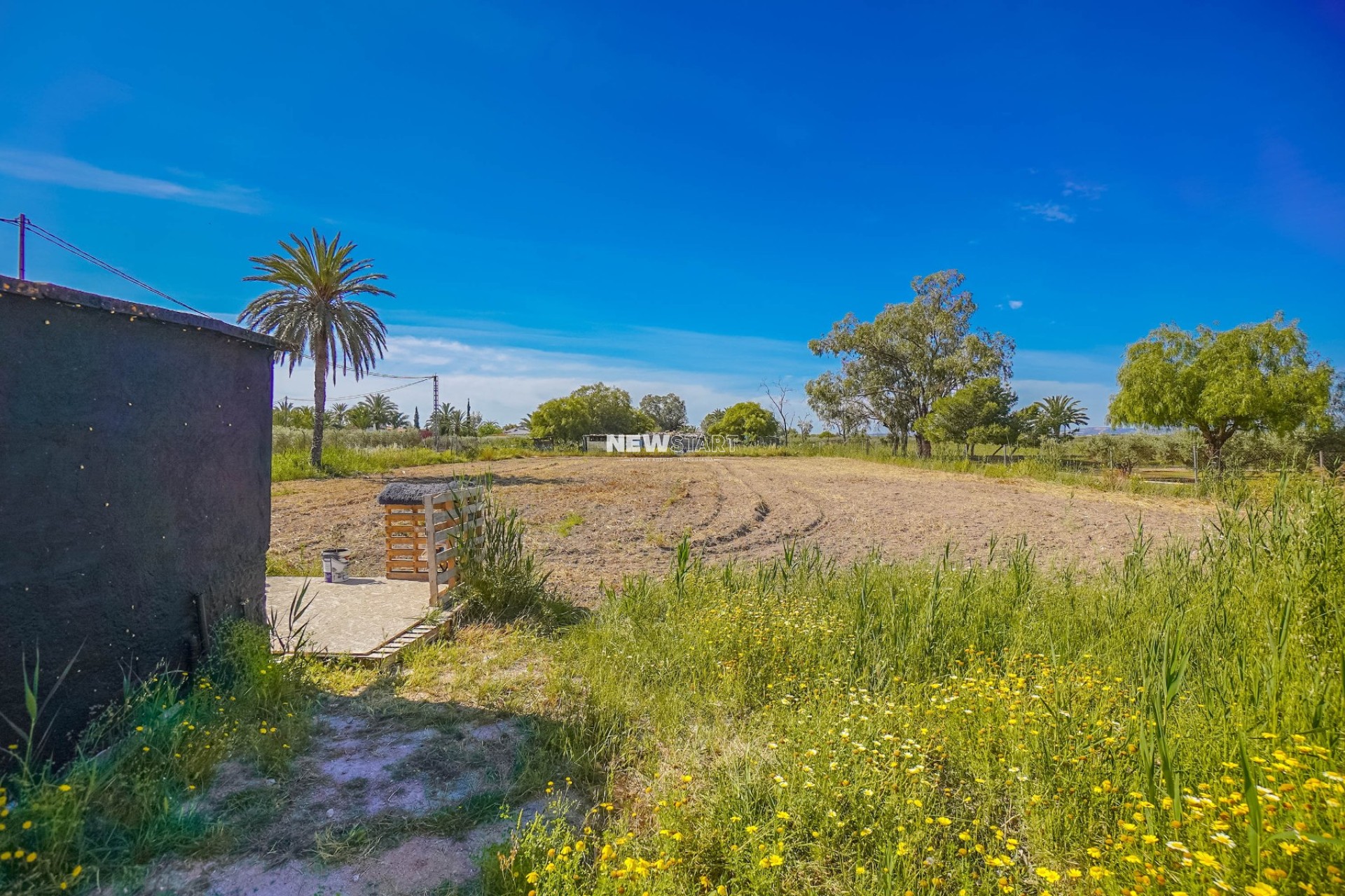Revente - Maison de campagne-Finca - La Marina - Urb. La Marina