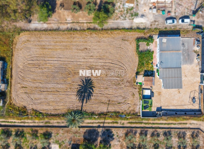 Revente - Maison de campagne-Finca - La Marina - Urb. La Marina