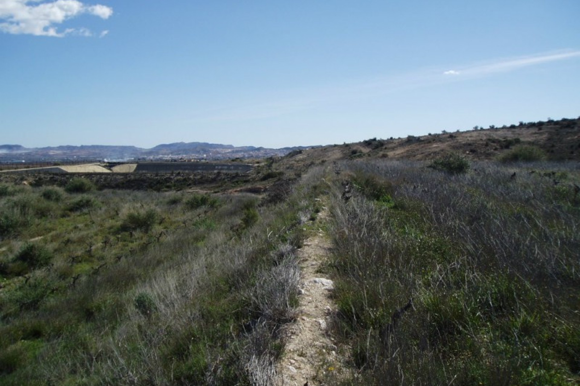 Revente - Terrain / Terrain - Alicante - La Romana