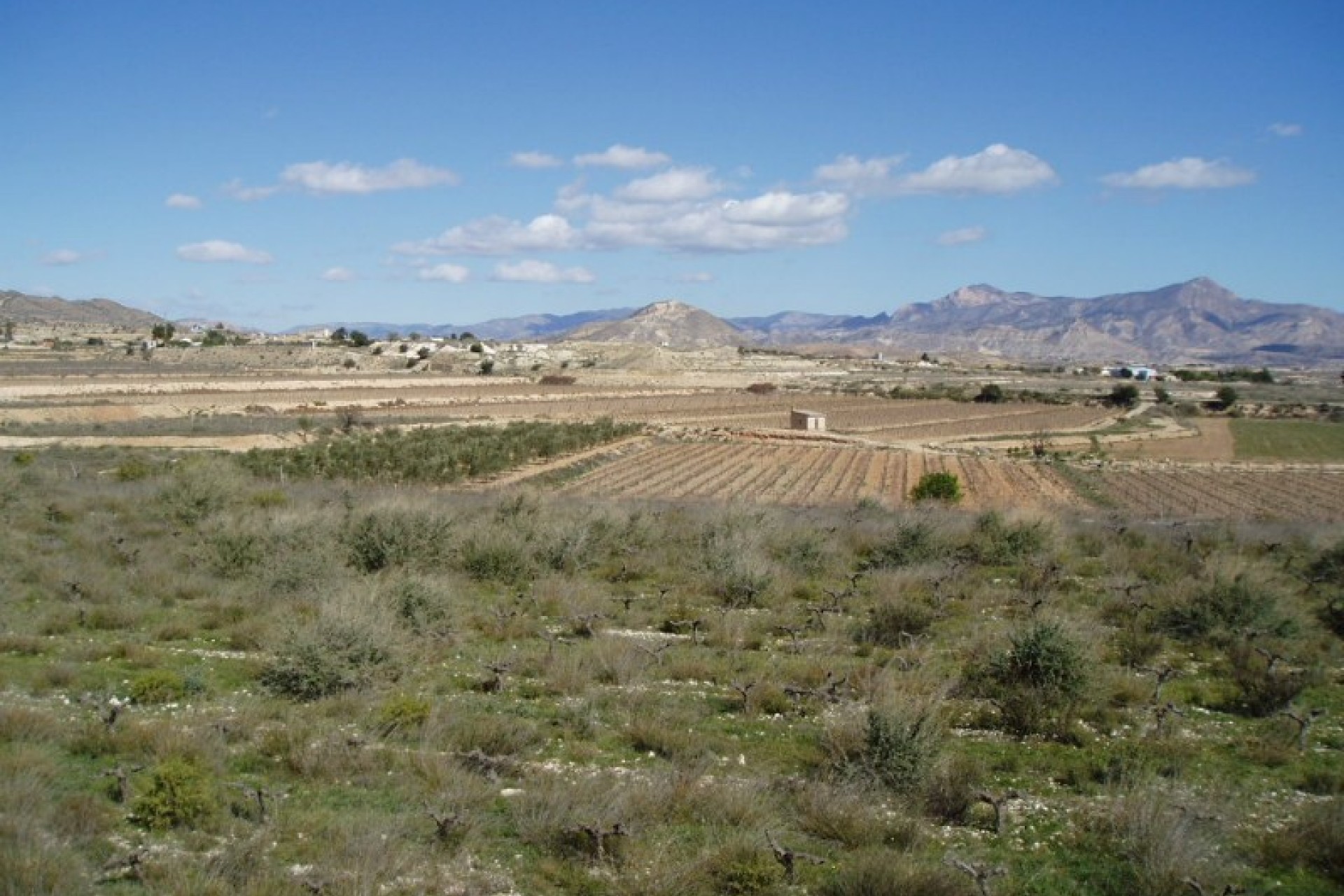 Revente - Terrain / Terrain - Alicante - La Romana