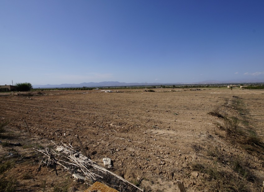 Revente - Terrain / Terrain - La Marina - El Molar