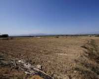 Revente - Terrain / Terrain - La Marina - El Molar
