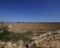 Revente - Terrain / Terrain - La Marina - El Molar