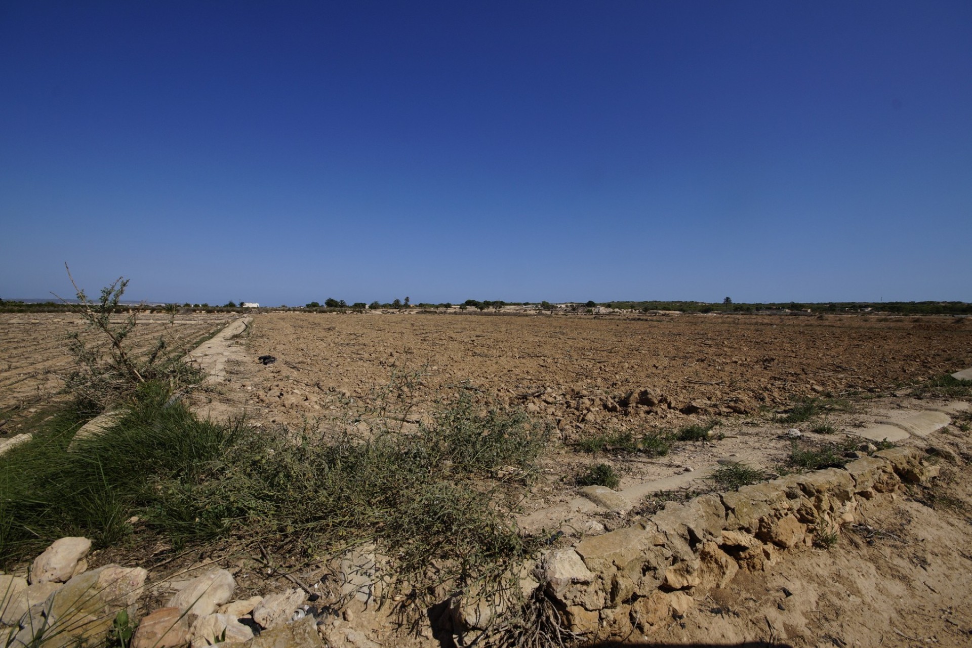 Revente - Terrain / Terrain - La Marina - El Molar