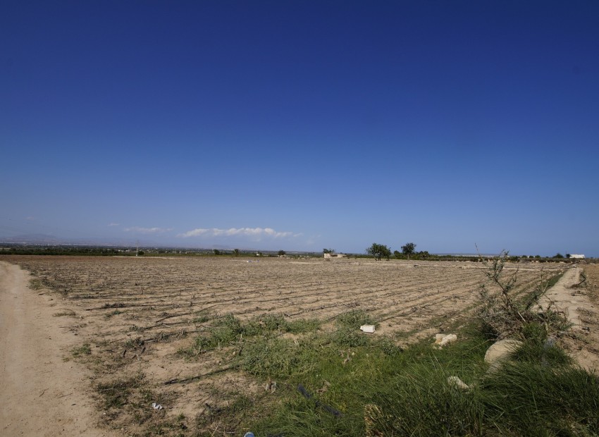 Revente - Terrain / Terrain - La Marina - El Molar