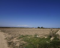 Revente - Terrain / Terrain - La Marina - El Molar