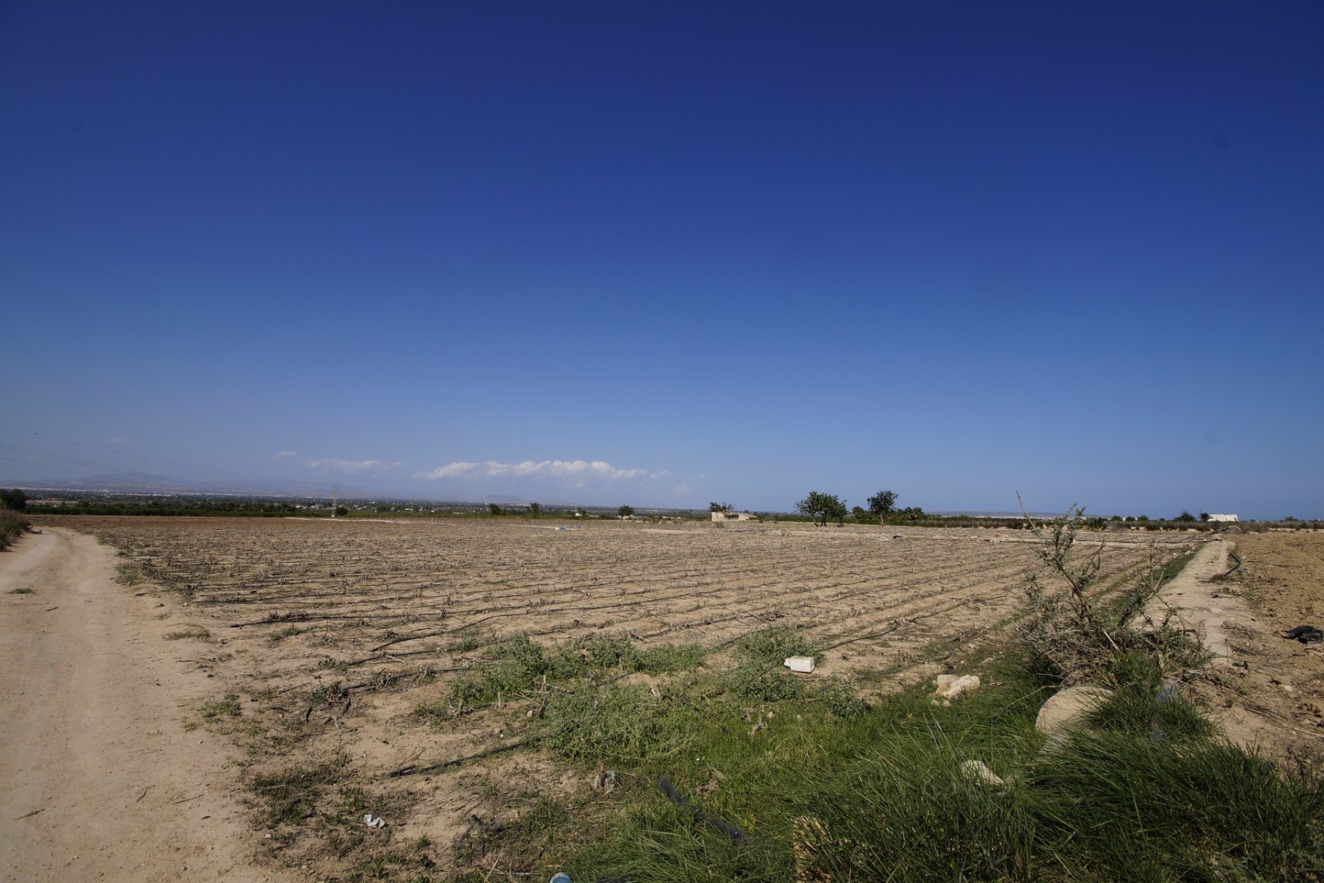 Revente - Terrain / Terrain - La Marina - El Molar