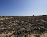 Revente - Terrain / Terrain - La Marina - El Molar