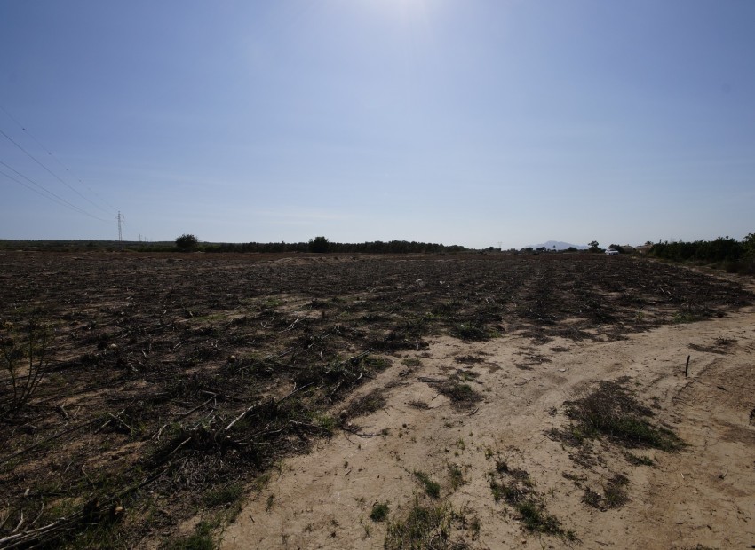 Revente - Terrain / Terrain - La Marina - El Molar