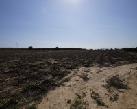 Revente - Terrain / Terrain - La Marina - El Molar
