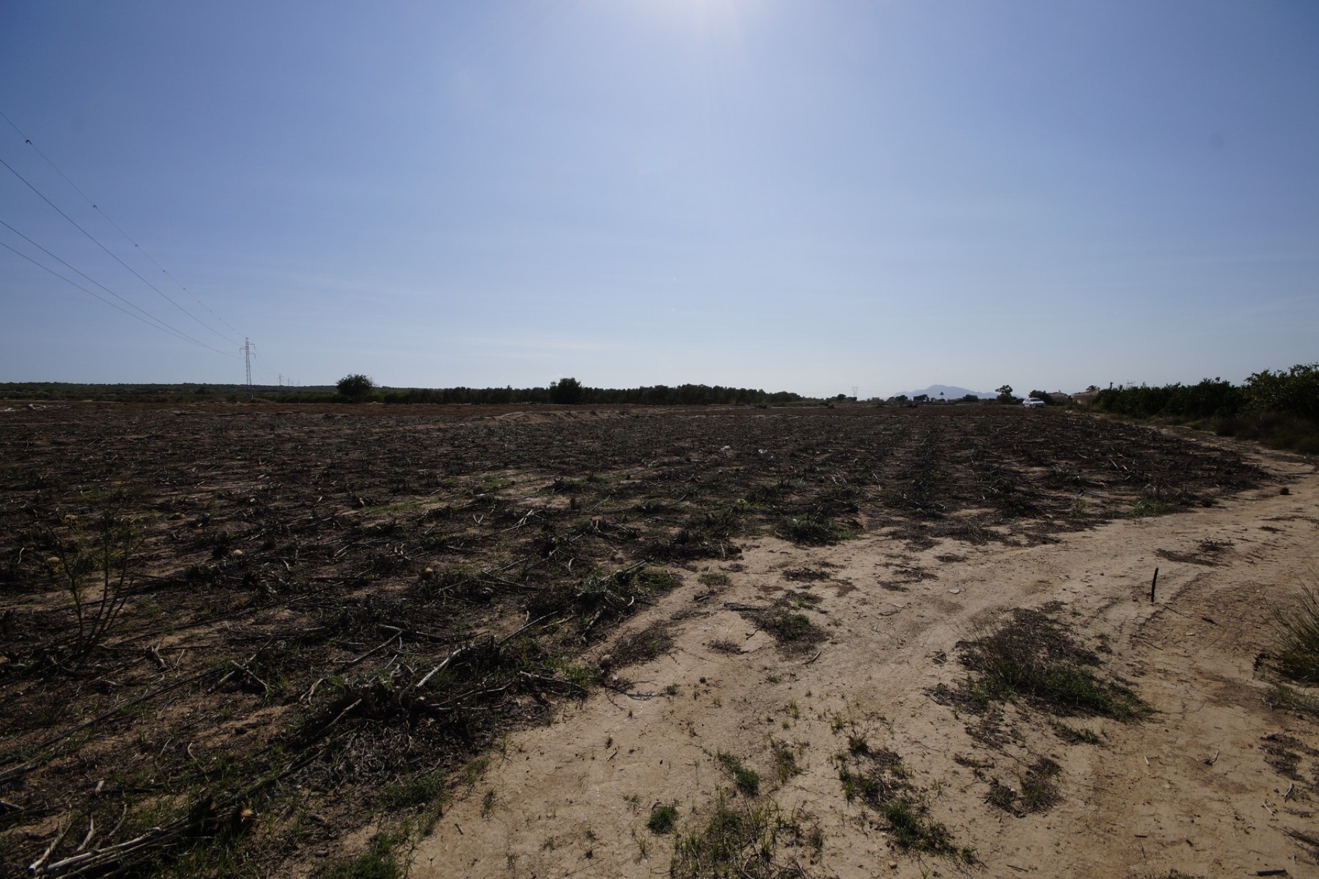 Revente - Terrain / Terrain - La Marina - El Molar