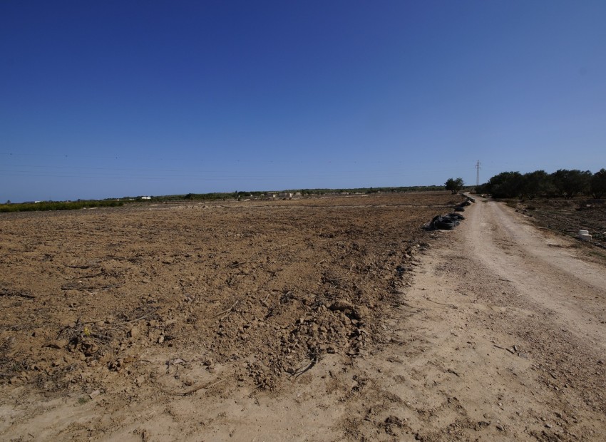 Revente - Terrain / Terrain - La Marina - El Molar