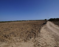 Revente - Terrain / Terrain - La Marina - El Molar