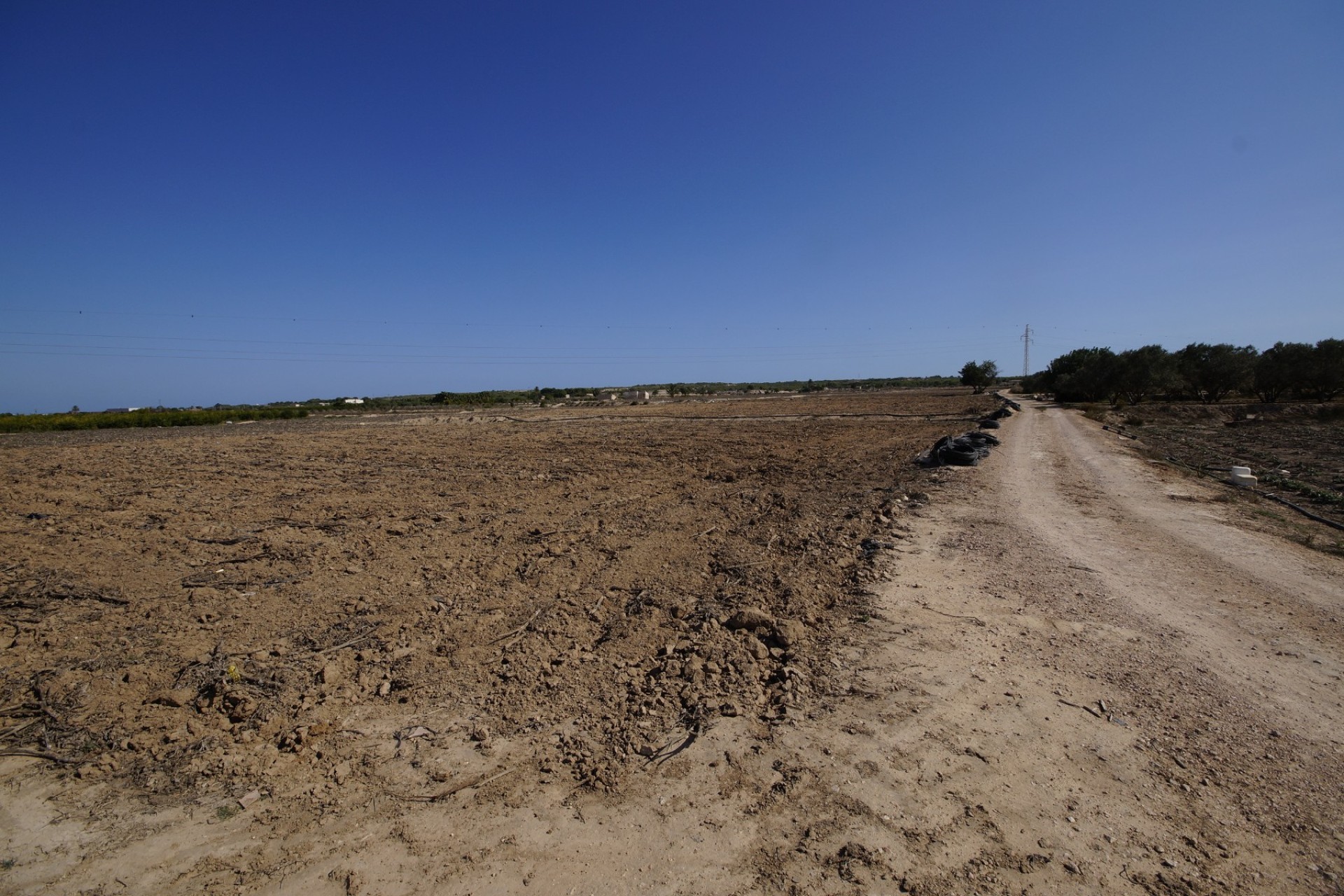Revente - Terrain / Terrain - La Marina - El Molar