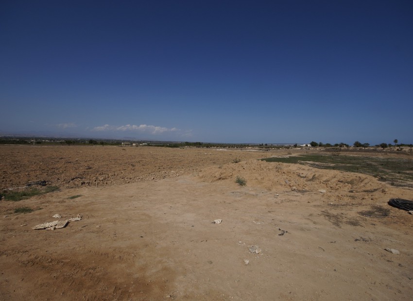 Revente - Terrain / Terrain - La Marina - El Molar