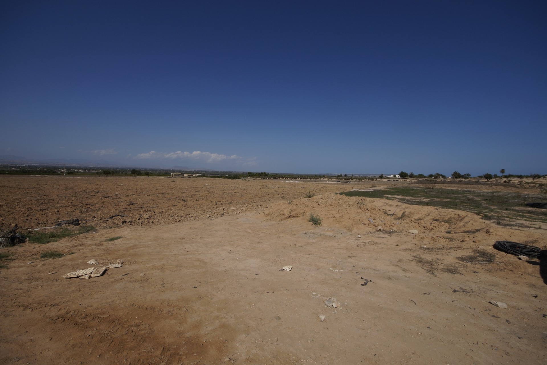 Revente - Terrain / Terrain - La Marina - El Molar
