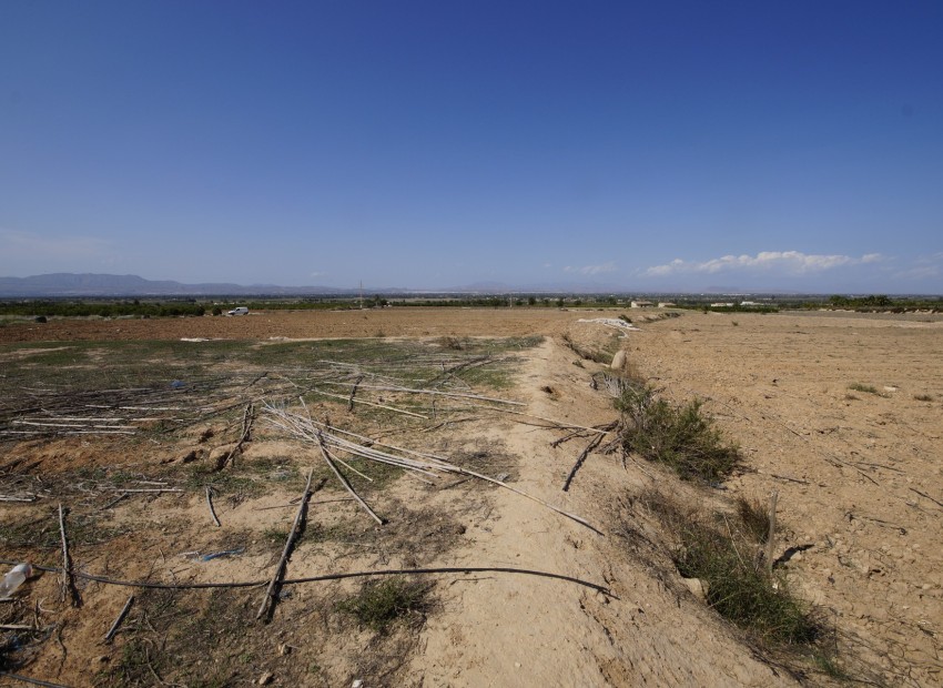 Revente - Terrain / Terrain - La Marina - El Molar