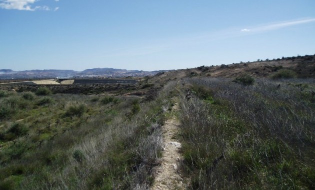 Terrain / Terrain - Revente - Alicante - La Romana