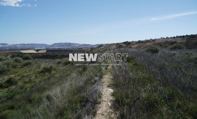 Terrain / Terrain - Revente - Alicante - NS074