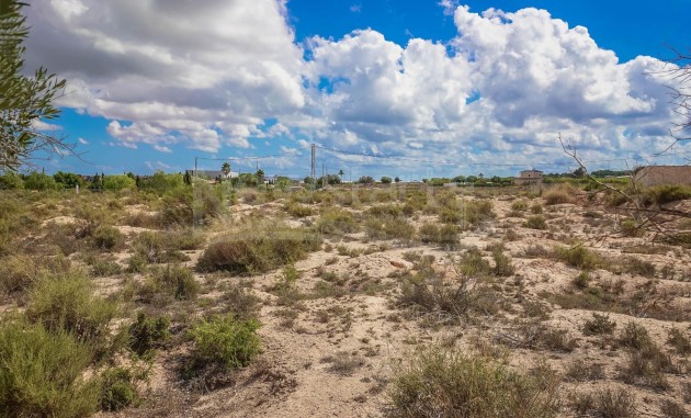 Terrain / Terrain - Revente - Elche - Partida Marina