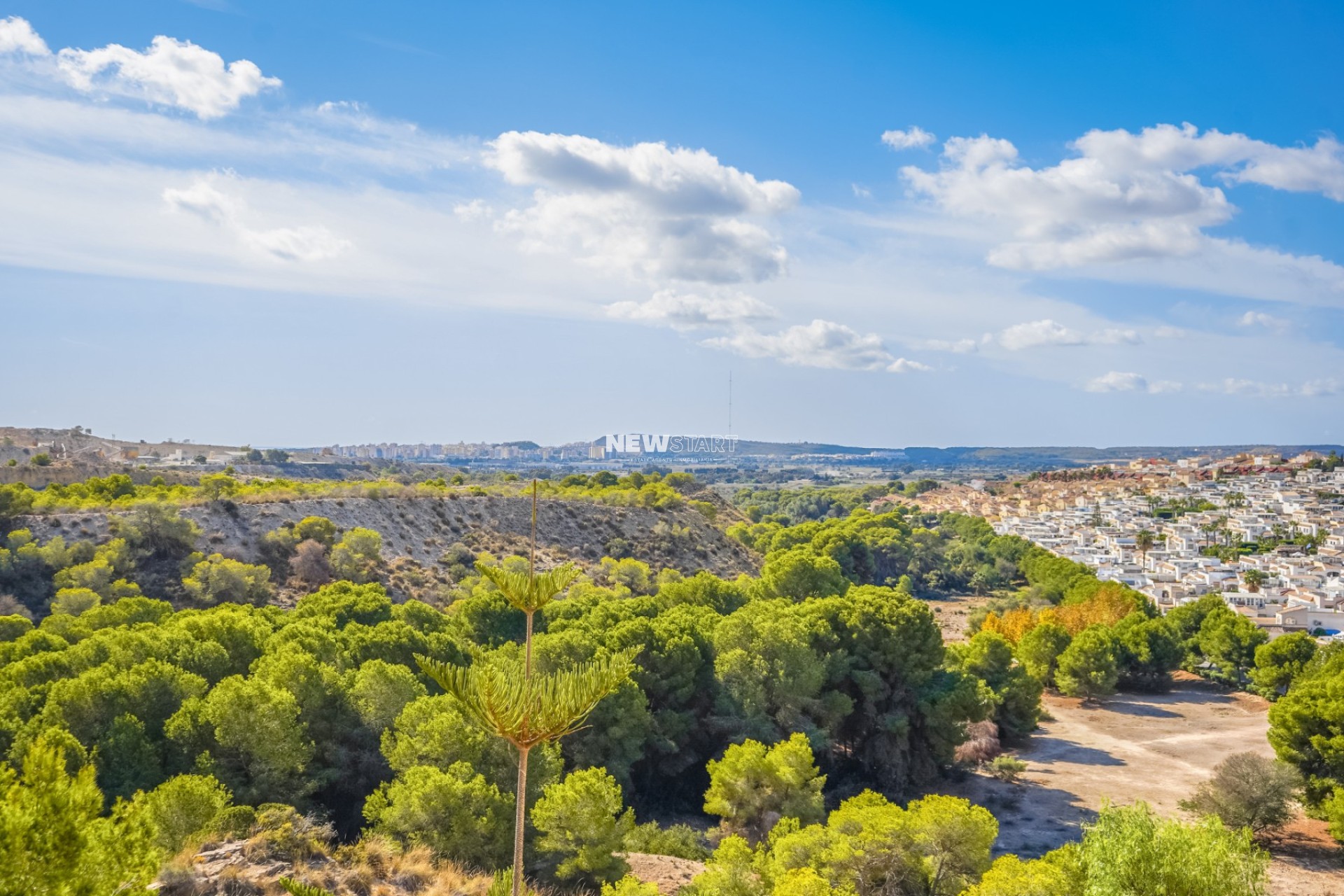 Wiederverkauf - Freistehend - La Marina - Urb. La Escuera