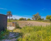 Wiederverkauf - Landhaus - Finca - La Marina - Urb. La Marina