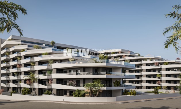 Wohnung - Neue Gebäude - San Miguel de Salinas - San Miguel de Salinas