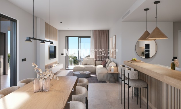 Nouvelle construction - Penthouse - Torre-Pacheco
